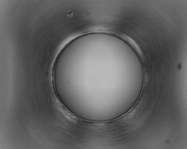 X0000094901435200711291012