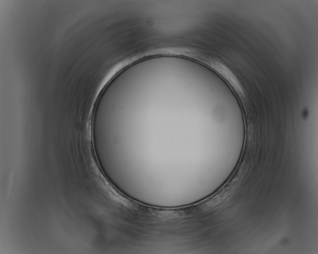 X0000094901436200711291012