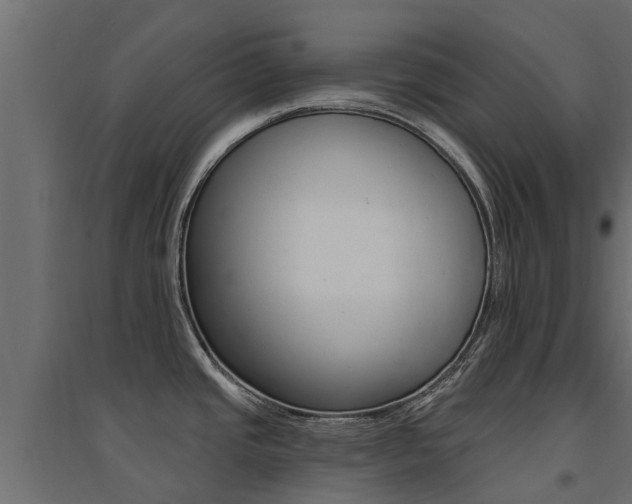 X0000094901437200711291012