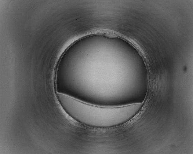 X0000094901438200711291012