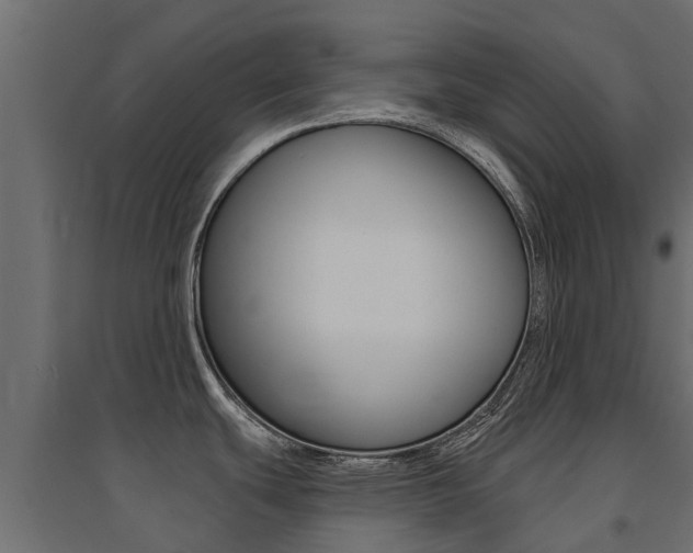 X0000094901439200711291012