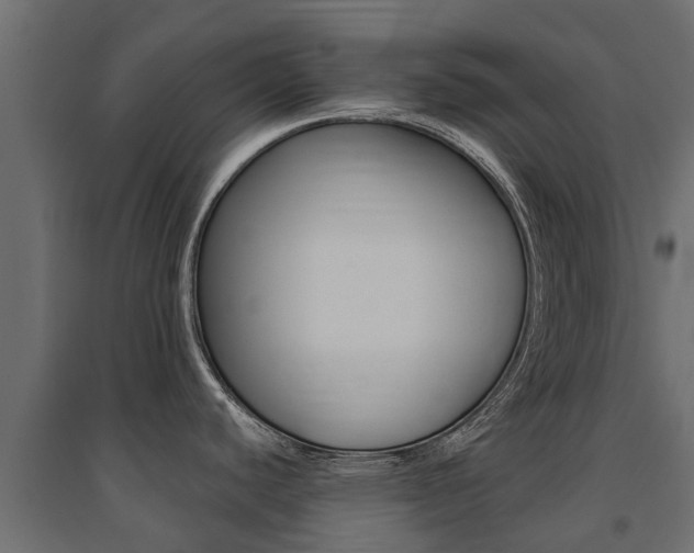 X0000094901440200711291012