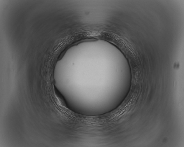 X0000094901441200711291011