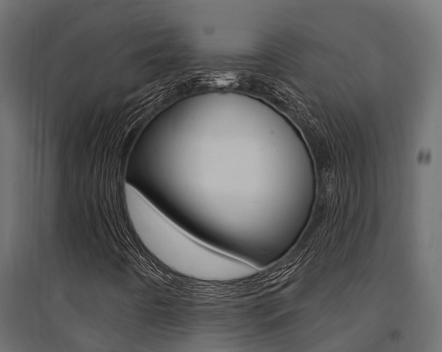X0000094901442200711291011