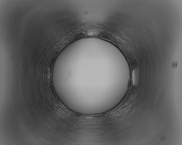 X0000094901443200711291011