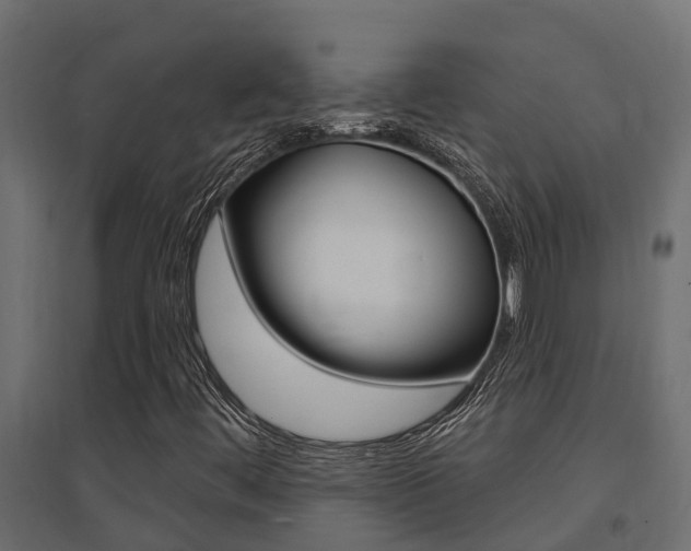 X0000094901444200711291011