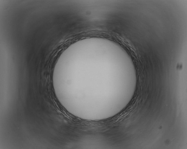 X0000094901445200711291011