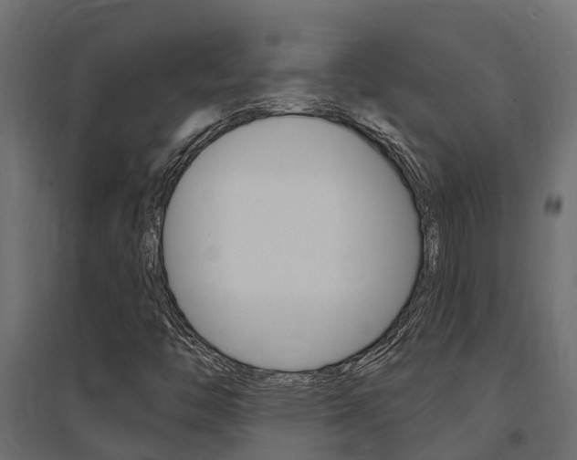 X0000094901446200711291011