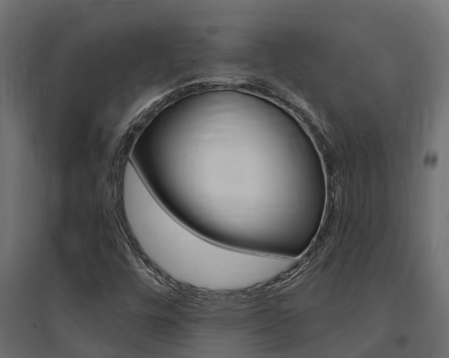 X0000094901448200711291011