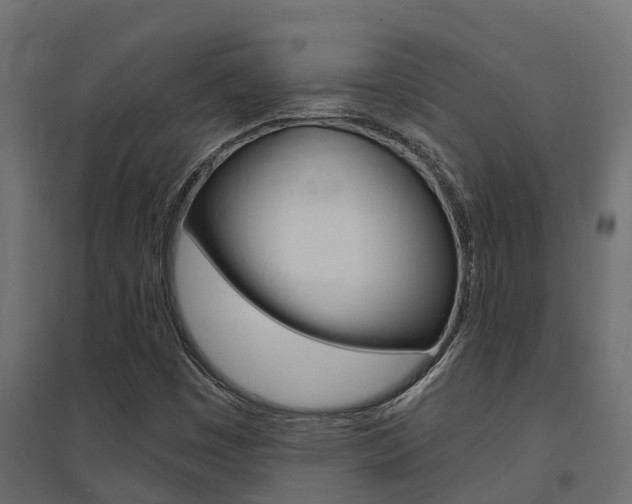 X0000094901449200711291011