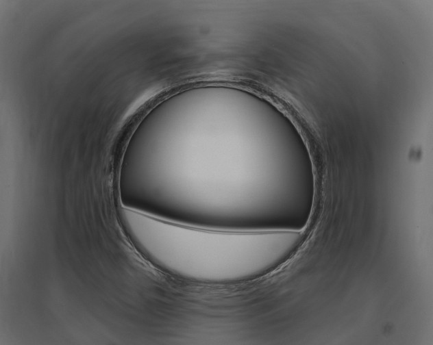 X0000094901450200711291011