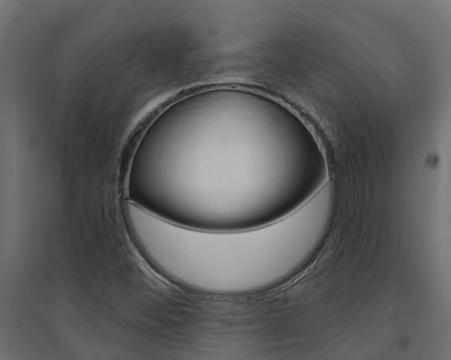 X0000094901452200711291011