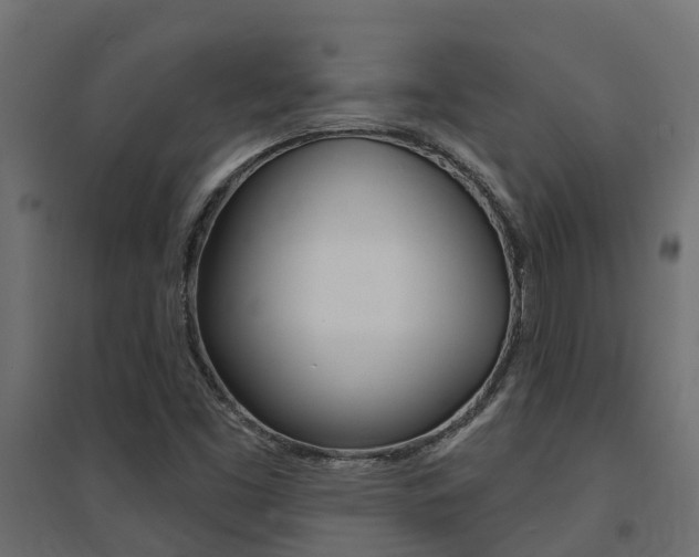 X0000094901453200711291011