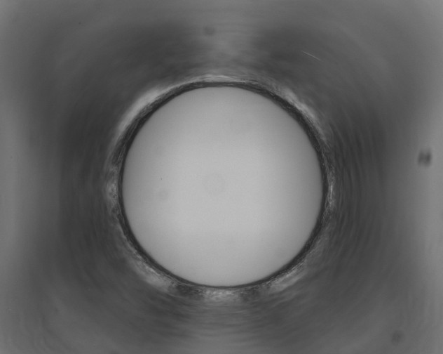 X0000094901454200711291011