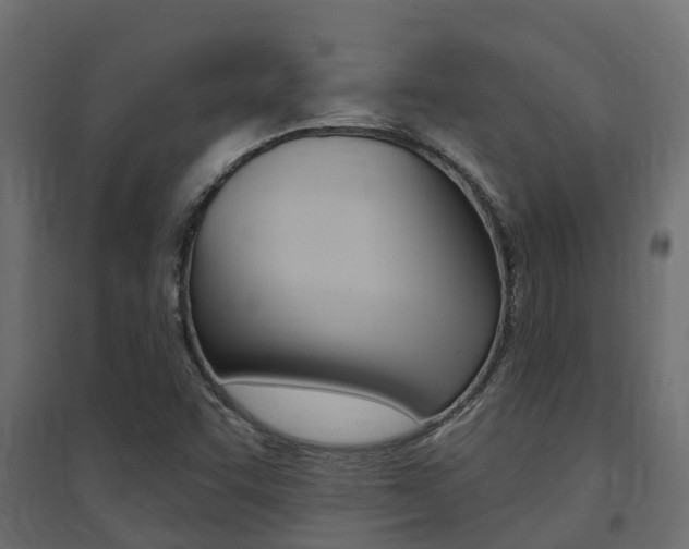 X0000094901455200711291011