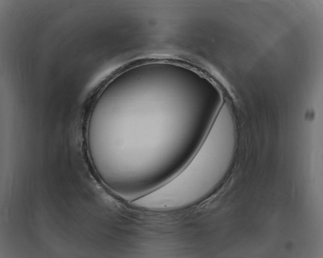 X0000094901456200711291011