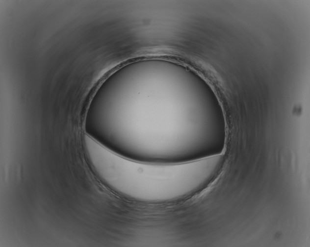X0000094901457200711291011
