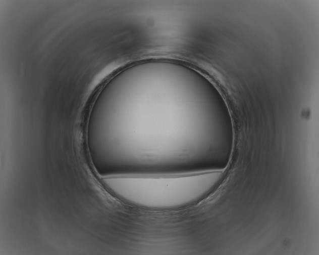 X0000094901458200711291011