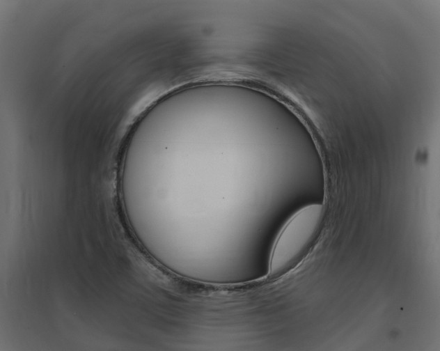 X0000094901459200711291011
