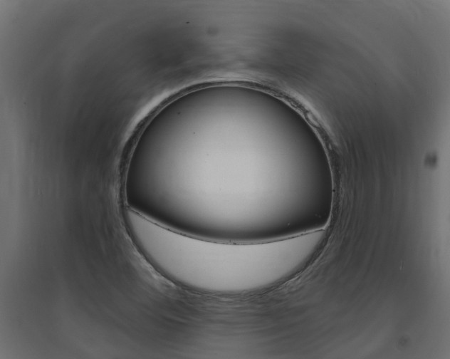 X0000094901460200711291011