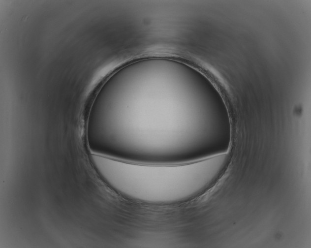 X0000094901461200711291011