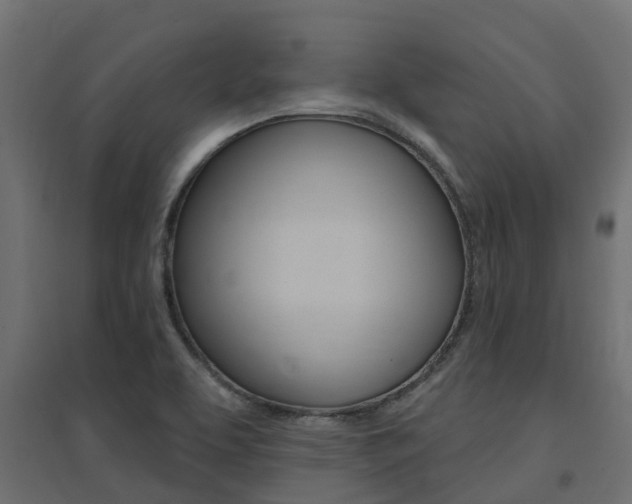 X0000094901463200711291011