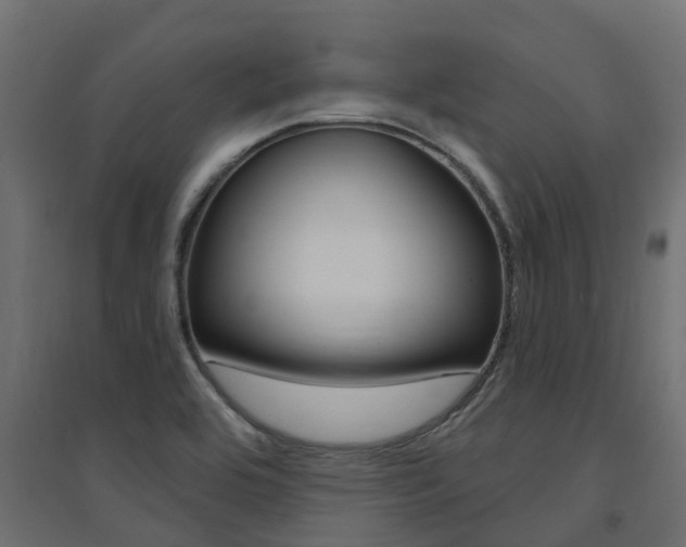 X0000094901464200711291011