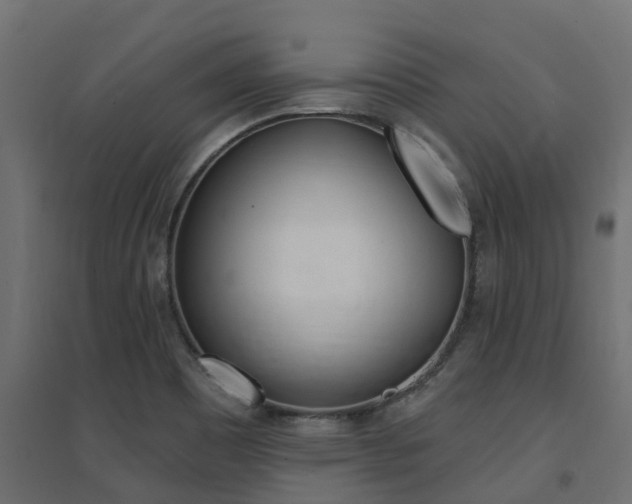 X0000094901465200711291011