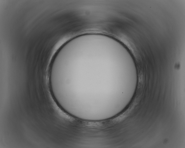X0000094901466200711291011