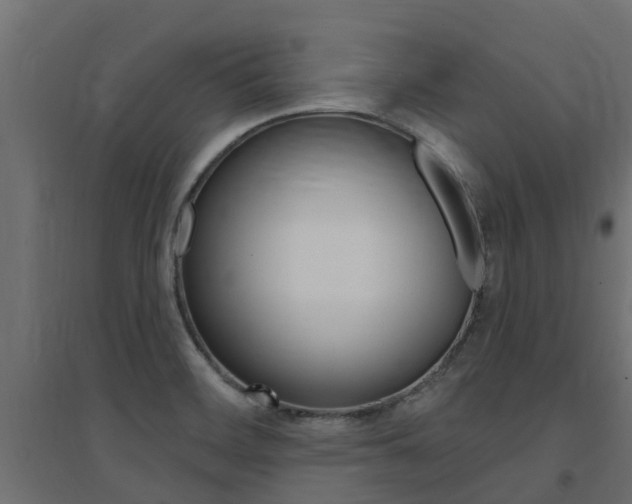 X0000094901468200711291011