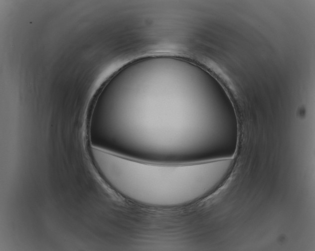 X0000094901469200711291011