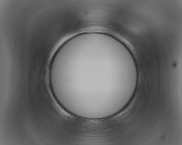 X0000094901470200711291011