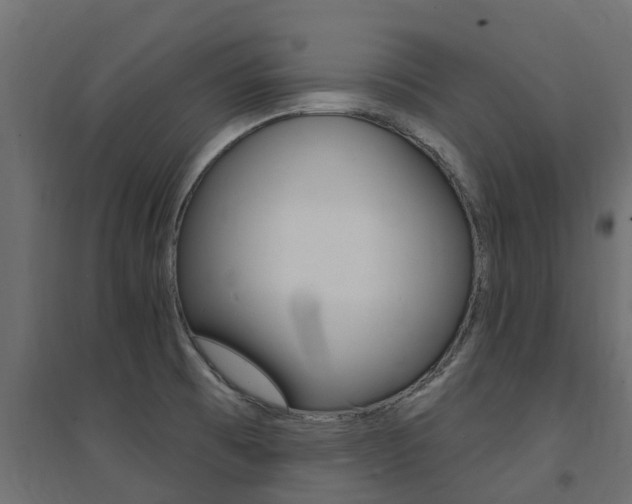 X0000094901473200711291011