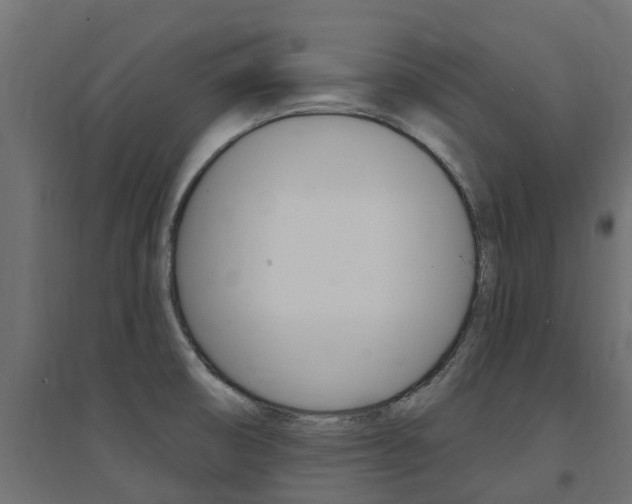 X0000094901474200711291011