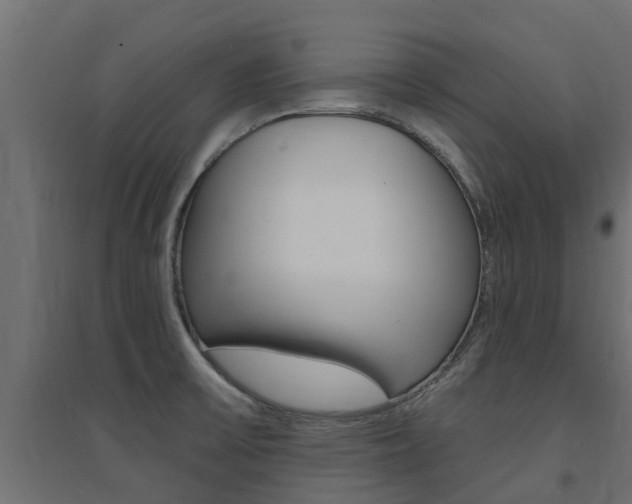 X0000094901475200711291011
