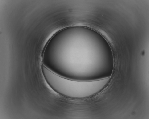 X0000094901476200711291011