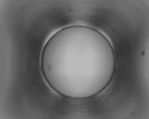 X0000094901477200711291011