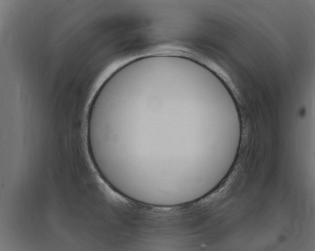 X0000094901478200711291011