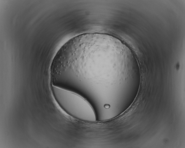 X0000094901479200711291011