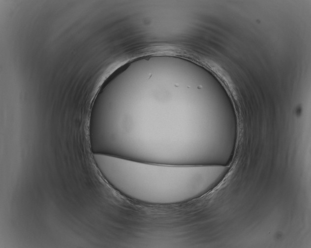 X0000094901481200711291011