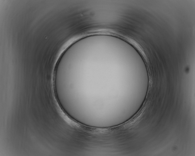 X0000094901482200711291011