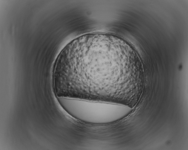 X0000094901483200711291011