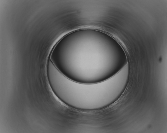X0000094901484200711291011