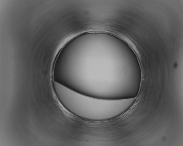 X0000094901485200711291011