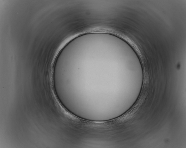 X0000094901486200711291011