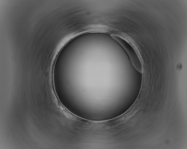 X0000094901488200711291011