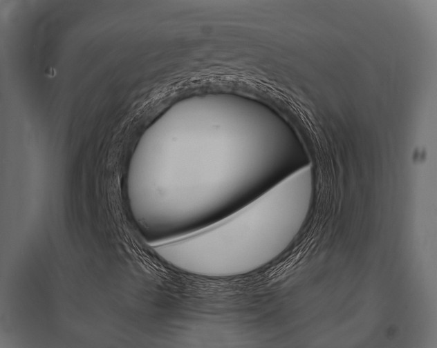 X0000094901489200711291010
