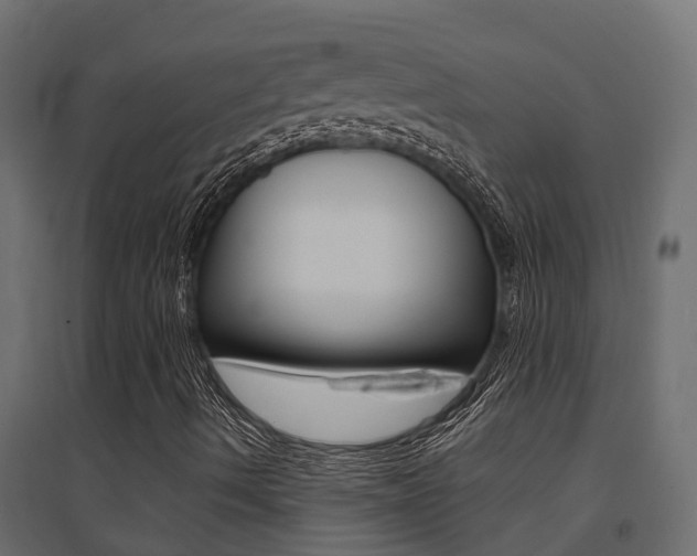 X0000094901490200711291010