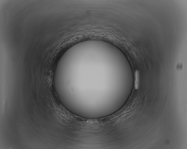 X0000094901491200711291010