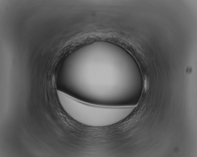 X0000094901492200711291010